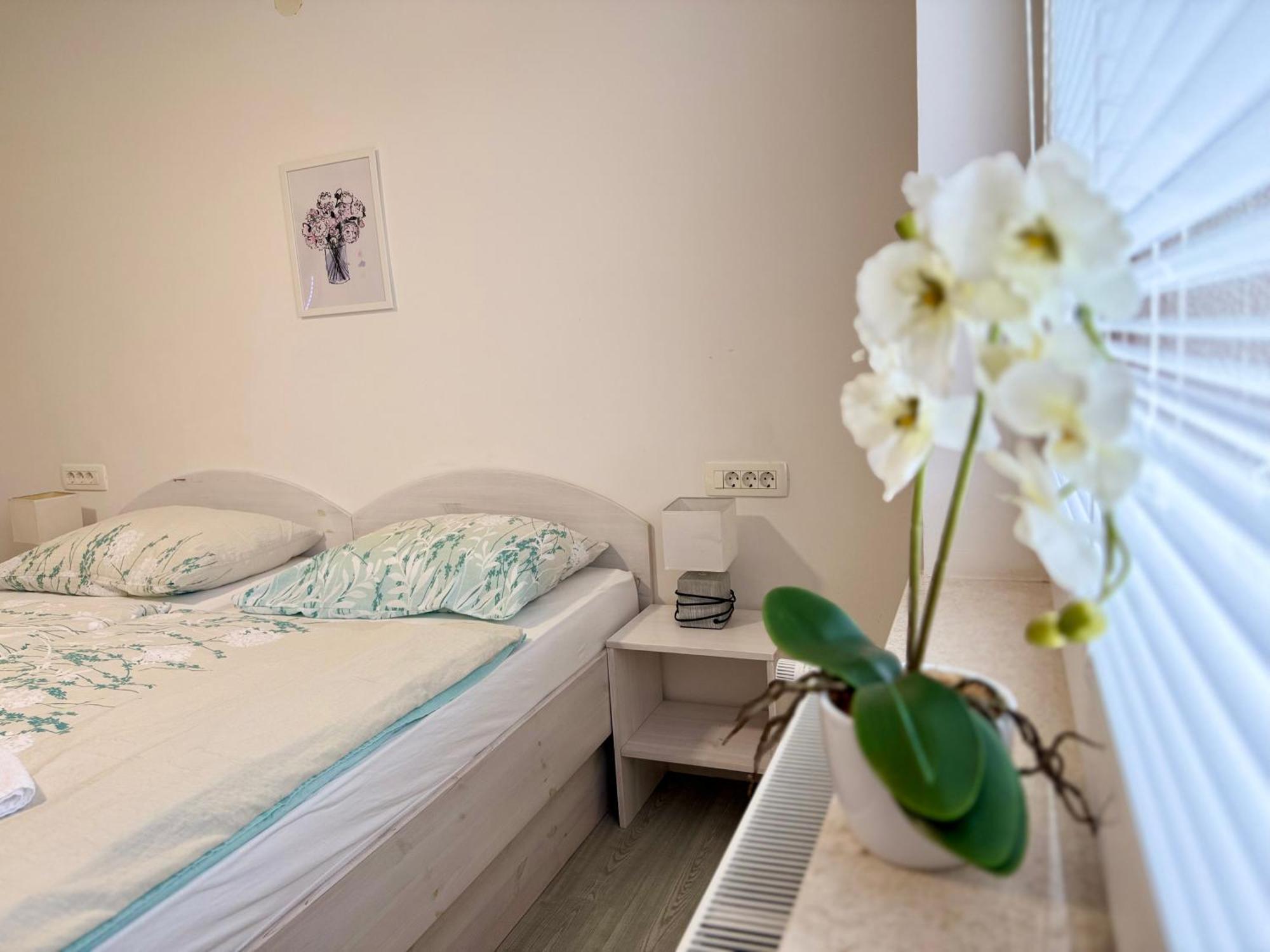 Guest House Kobal Spodnje Gorje Екстериор снимка